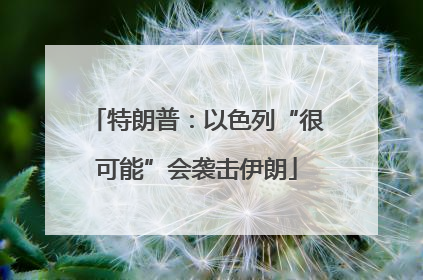 特朗普：以色列“很可能”会袭击伊朗